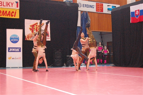 Obrázek v galerii