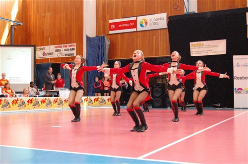 Obrázek v galerii