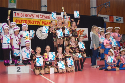 Obrázek v galerii