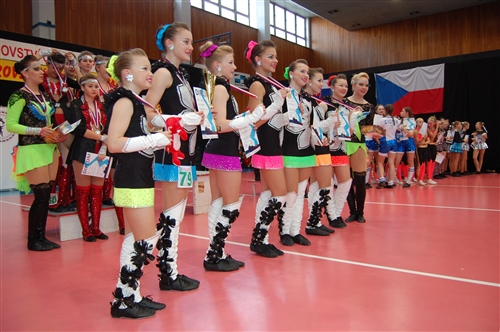 Obrázek v galerii