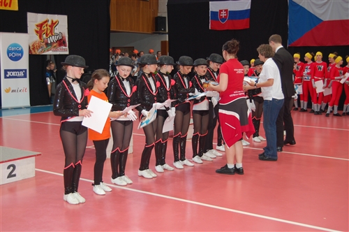 Obrázek v galerii