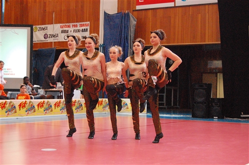 Obrázek v galerii