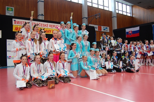 Obrázek v galerii