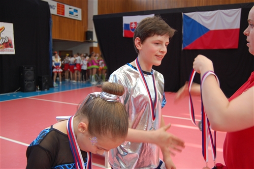 Obrázek v galerii