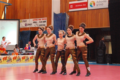 Obrázek v galerii