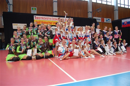Obrázek v galerii