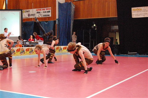 Obrázek v galerii