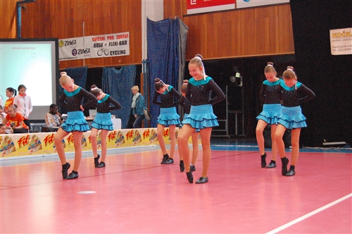 Obrázek v galerii