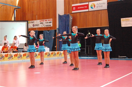 Obrázek v galerii