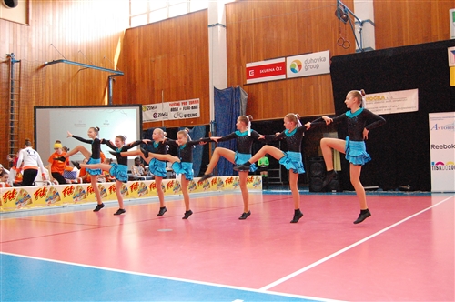 Obrázek v galerii