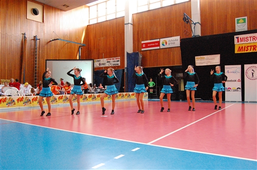 Obrázek v galerii
