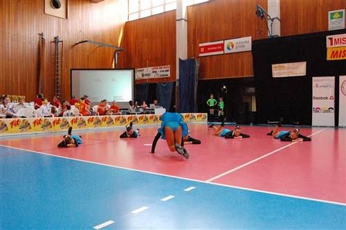 Obrázek v galerii