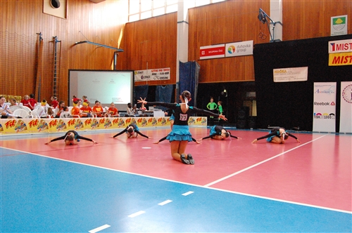 Obrázek v galerii