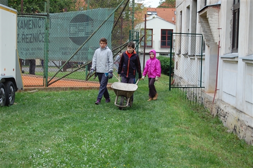 Obrázek v galerii