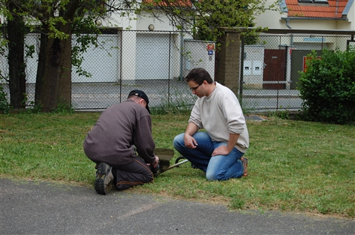 Obrázek v galerii