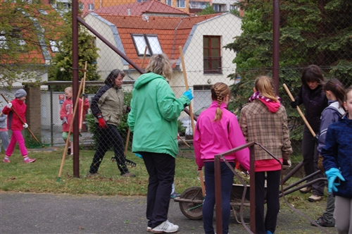 Obrázek v galerii