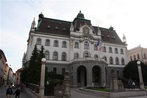 Obrázek v galerii