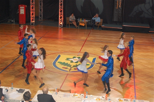 Obrázek v galerii