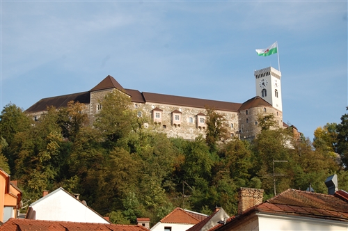 Obrázek v galerii