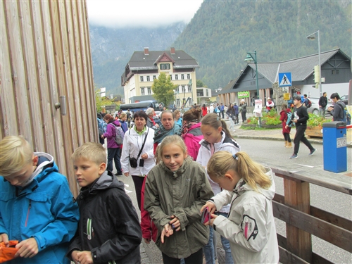 Obrázek v galerii