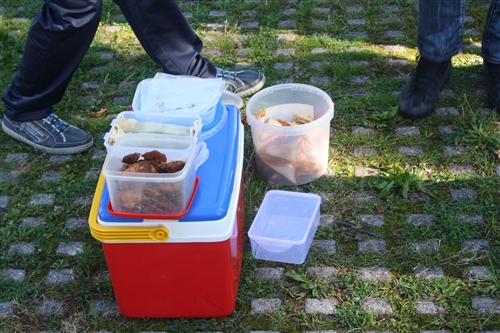 Obrázek v galerii