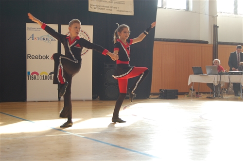 Obrázek v galerii