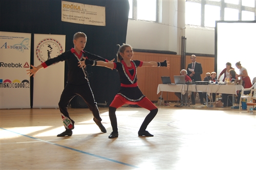 Obrázek v galerii
