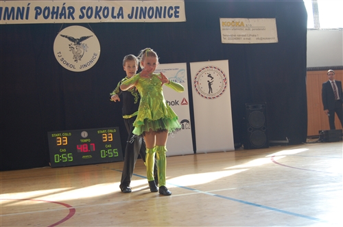 Obrázek v galerii