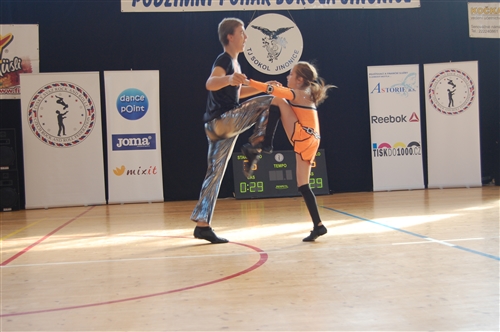 Obrázek v galerii