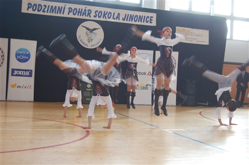 Obrázek v galerii