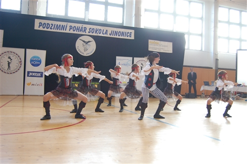 Obrázek v galerii