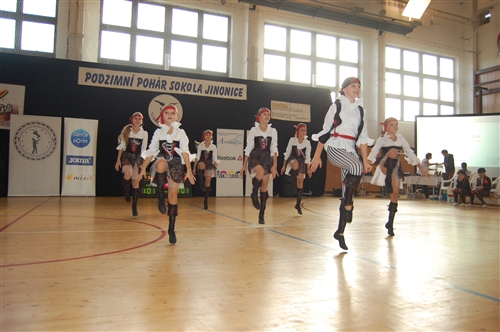 Obrázek v galerii