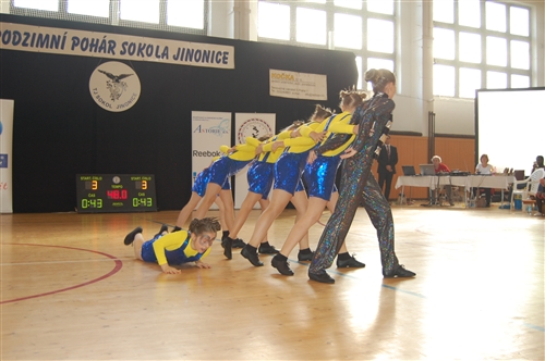 Obrázek v galerii