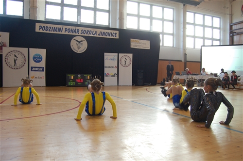 Obrázek v galerii