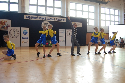 Obrázek v galerii