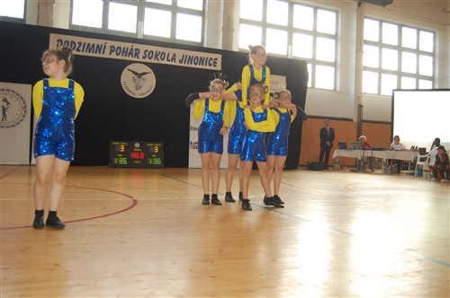 Obrázek v galerii