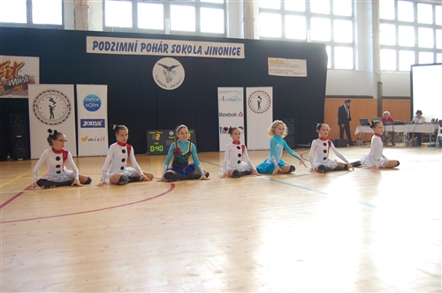 Obrázek v galerii