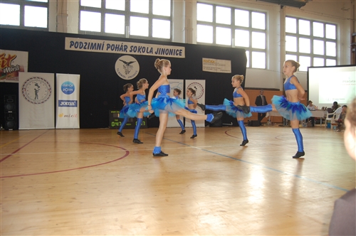 Obrázek v galerii