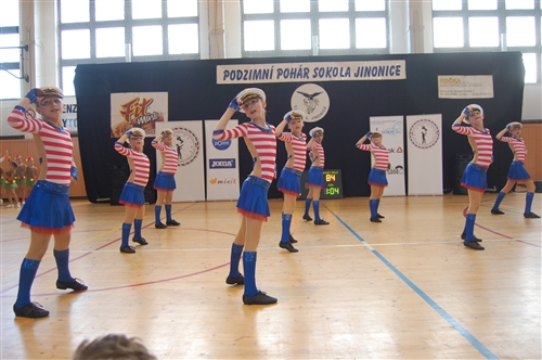 Obrázek v galerii