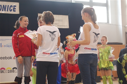 Obrázek v galerii