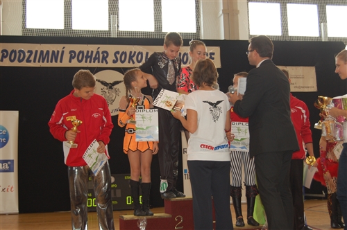 Obrázek v galerii