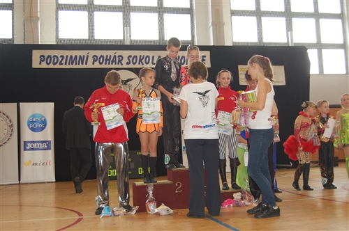 Obrázek v galerii