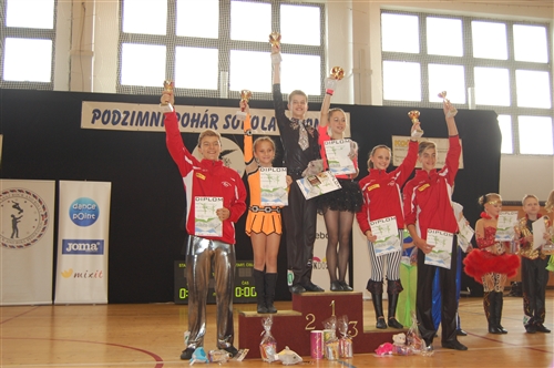 Obrázek v galerii