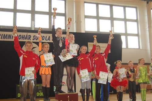 Obrázek v galerii