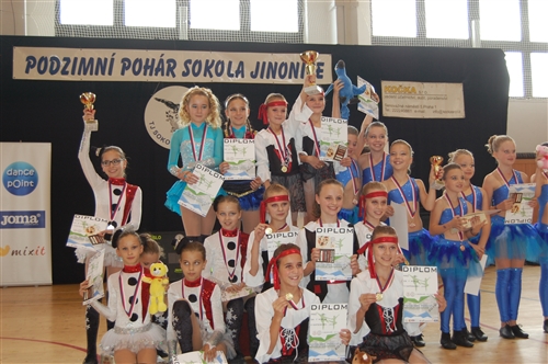 Obrázek v galerii