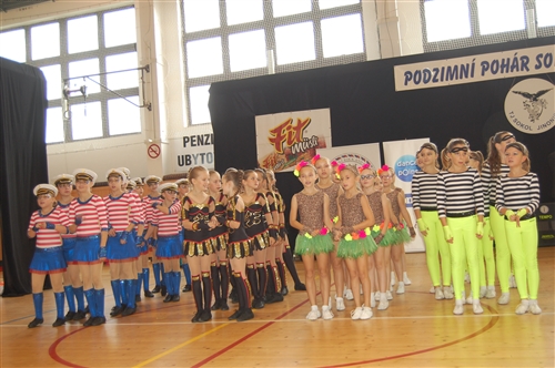 Obrázek v galerii