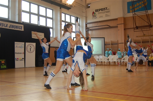 Obrázek v galerii