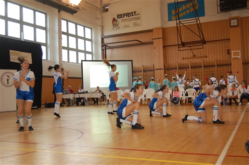 Obrázek v galerii