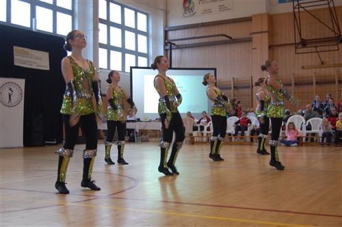 Obrázek v galerii