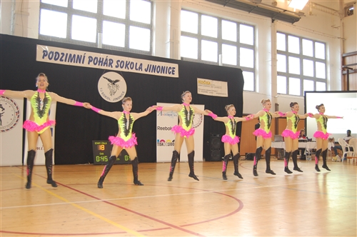 Obrázek v galerii